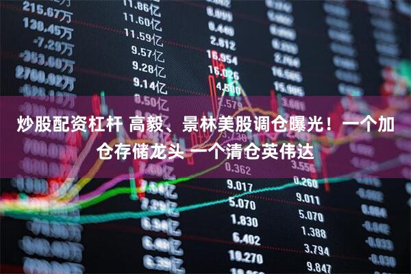 炒股配资杠杆 高毅、景林美股调仓曝光！一个加仓存储龙头 一个清仓英伟达